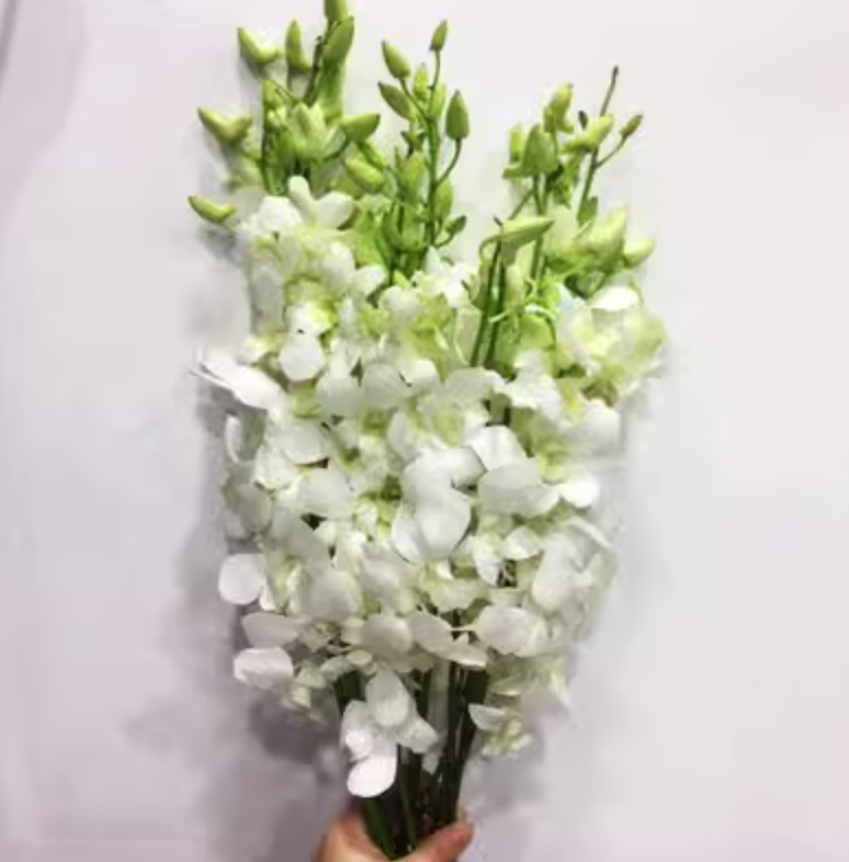 https://flowerbuy.oss-cn-beijing.aliyuncs.com//images/20230718/1689687671747.png